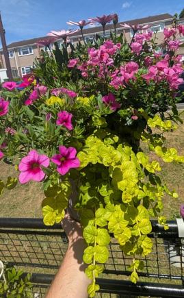 Best Hanging Basket Container Or Pot 2026 Photo