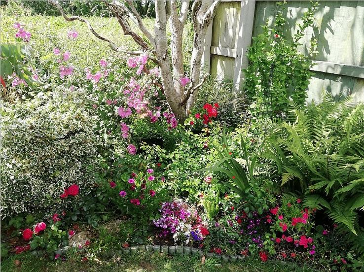 Garden competition photo 01